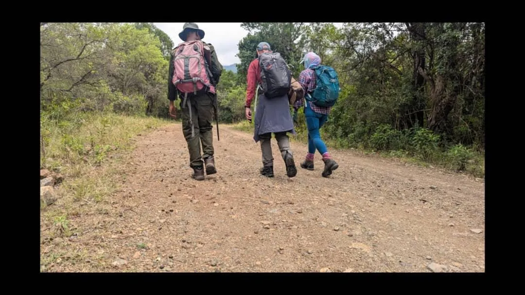 Mount Kilimanjaro trekking landscape